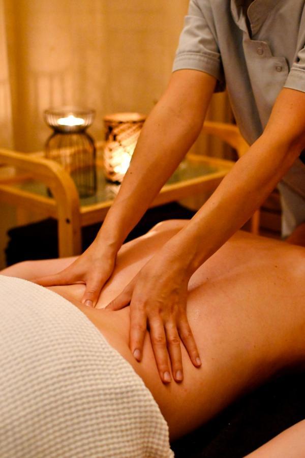 Hotel Sokol Wellness & Łańcut
